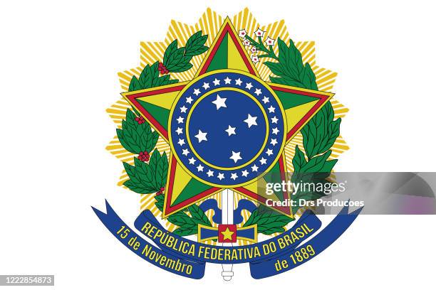 wappen brasiliens - brasilien stock-grafiken, -clipart, -cartoons und -symbole