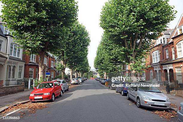 tree lined street, uk - immobile ストックフォトと画像