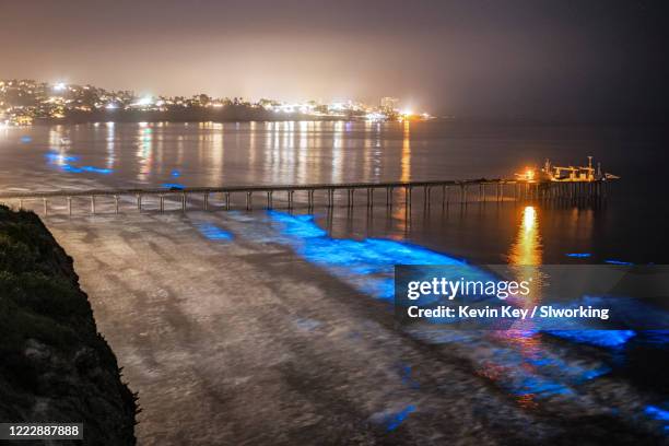 bioluminescent red tide at scripps pier in san diego - plankton stock pictures, royalty-free photos & images