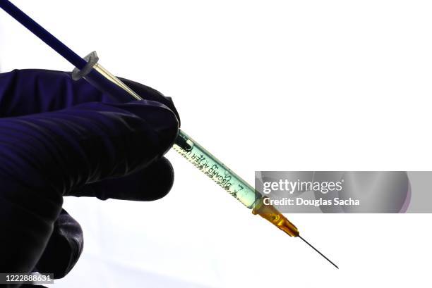 medical staff holding a disposable syringe with hypodermic needle - zika virus stock pictures, royalty-free photos & images