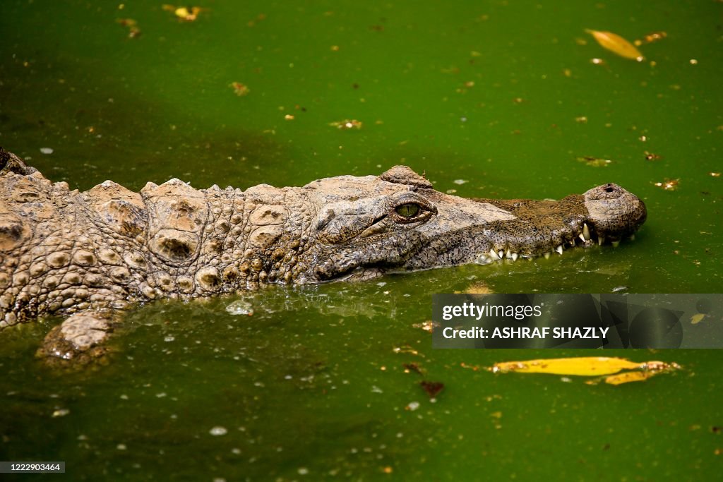 SUDAN-ANIMAL-ZOO-HEALTH-VIRUS