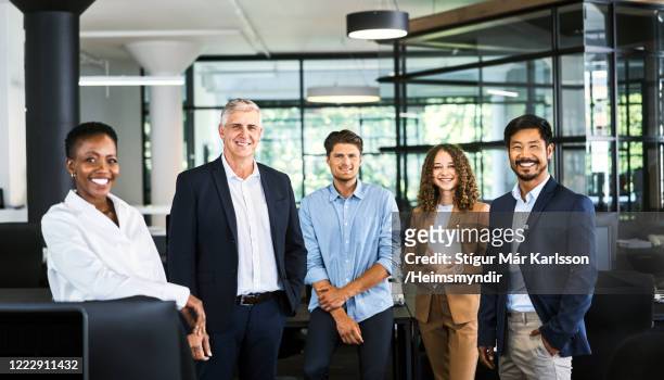 portrait of smiling multi-ethnic professionals - cinco pessoas imagens e fotografias de stock