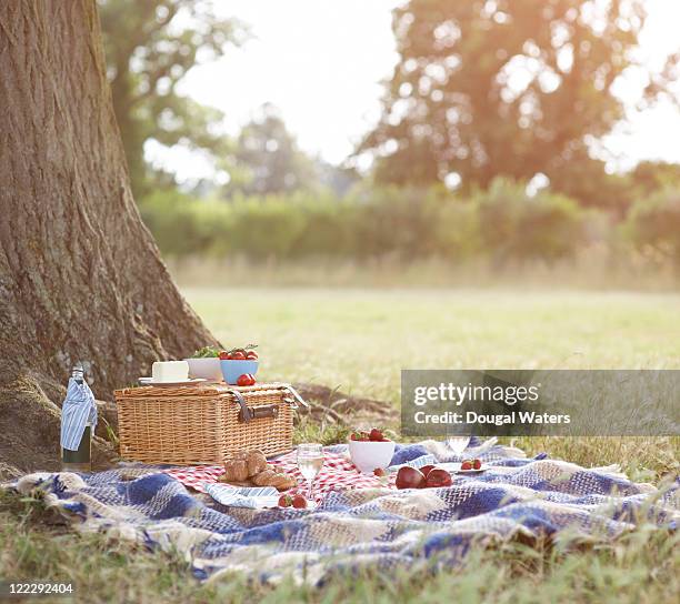 picnic and hamper beside tree in meadow. - picknickkorb stock-fotos und bilder