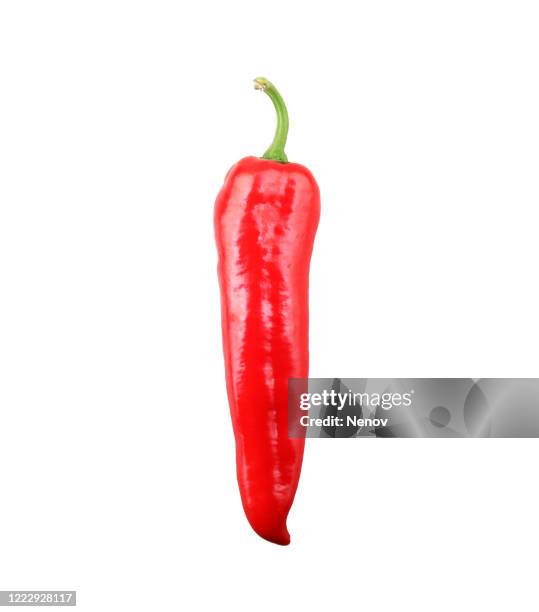 red chili pepper isolated on white background - pimenta de caiena imagens e fotografias de stock