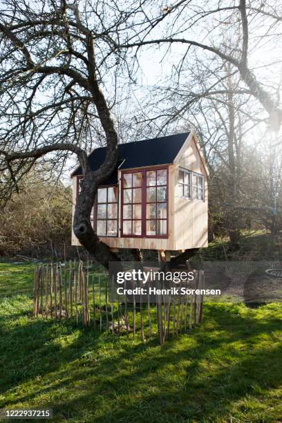 tree house - tree house stock pictures, royalty-free photos & images