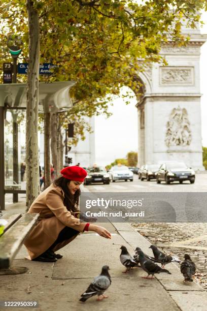 asian traveler feeding pigeon birds on the street in paris - paris autumn stock pictures, royalty-free photos & images