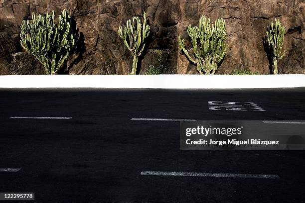 lonely road with cactus on background - jorge miguel blázquez fotografías e imágenes de stock