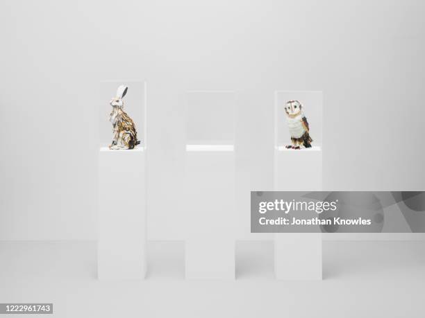 recycled plastic animals - museum pedestal stock pictures, royalty-free photos & images