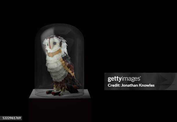 recycled plastic owl sculpture - museum display case stock pictures, royalty-free photos & images