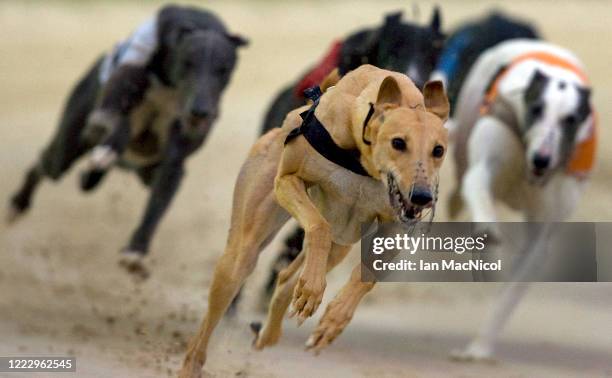 Shawfield Stadium Photos and Premium High Res Pictures Getty Images