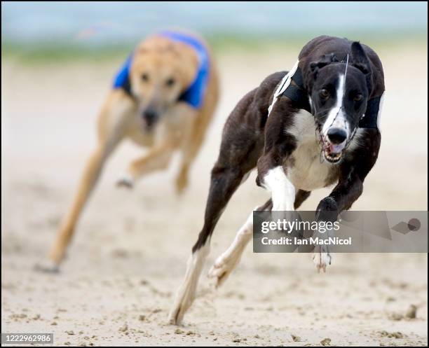 Shawfield Stadium Photos and Premium High Res Pictures Getty Images