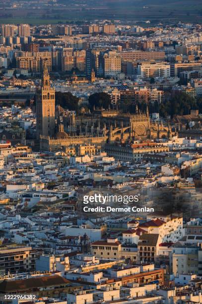 spain, andalusia, seville, high angle view over cathedral and city - catedral de sevilla fotografías e imágenes de stock