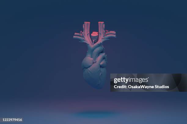 blue heart - cardiovascular disease stockfoto's en -beelden
