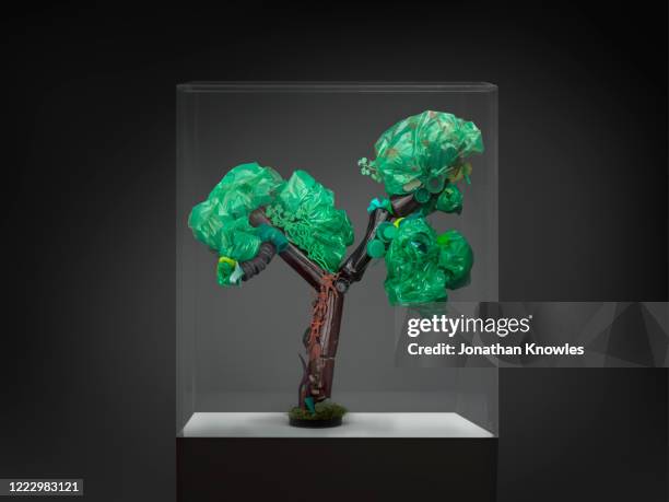 recycled tree sculpture - museum display case stock pictures, royalty-free photos & images