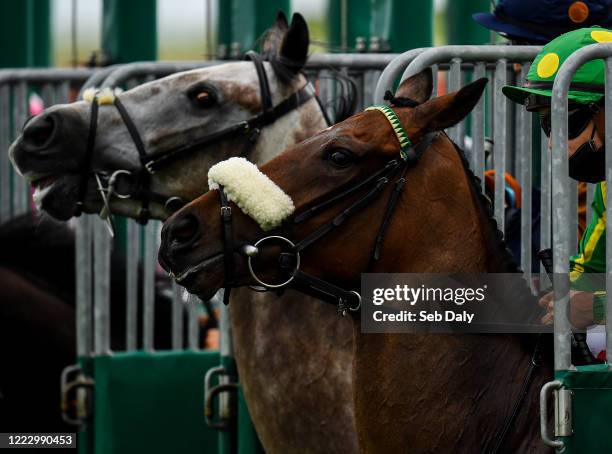 Leigh Roche Leigh Roche Photos and Premium High Res Pictures - Getty Images