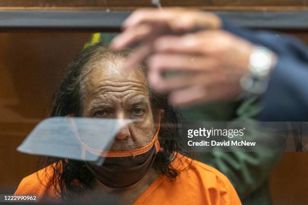 Adult film star Ron Jeremy listens as his attorney Stuart Goldfarb speaks during his arraignment on rape and sexual assault charges at Clara...