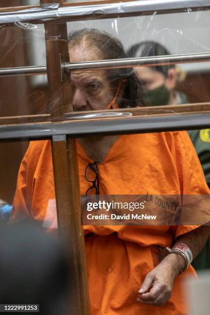 Adult film star Ron Jeremy appears for arraignment on rape and sexual assault charges at Clara Shortridge Foltz Criminal Justice Center on June 26,...