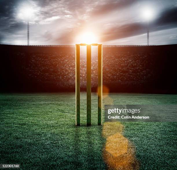 cricket pitch/wickets in stadium - cricketspeler stockfoto's en -beelden