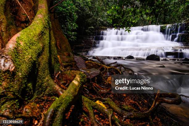 cachoeira do segredo - secret's waterfall - fall trees stock pictures, royalty-free photos & images