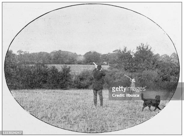 antique black and white photograph of sport, athletes and leisure activities in the 19th century: bird shooting - hobby bird of prey stock illustrations