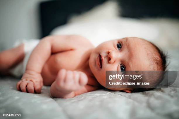 sorglös baby i ned - newborn bildbanksfoton och bilder