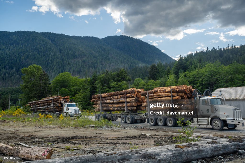 Logging Trucks auf Vancouver Island