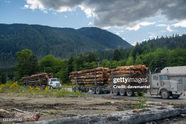 logging trucks on vancouver island - forestry stock pictures, royalty-free photos & images