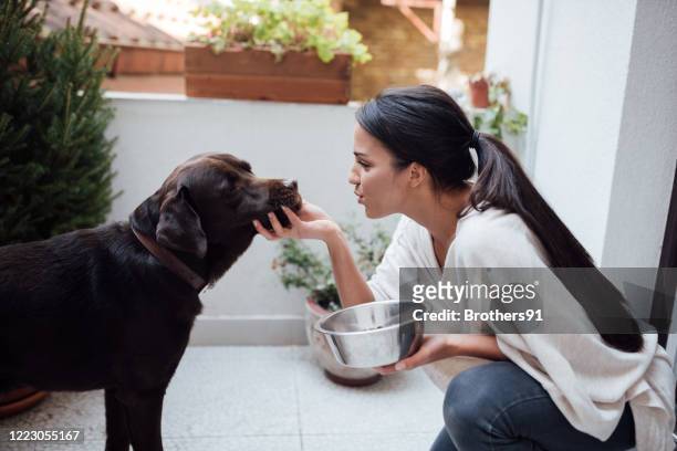 aantrekkelijke jonge vrouw die haar huisdierenhond opvolgt - dierentemmer stockfoto's en -beelden