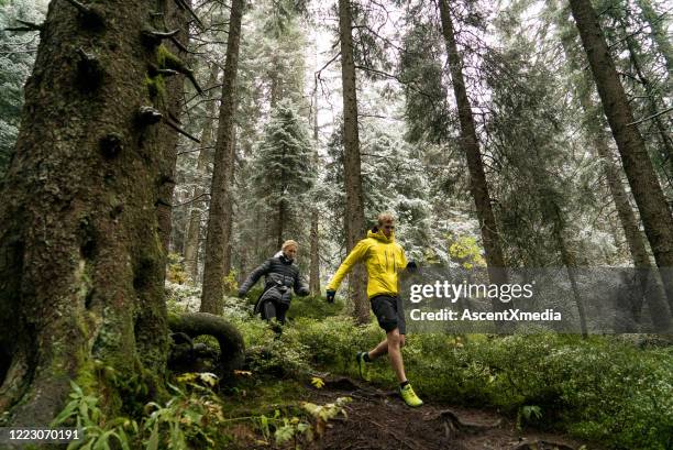 giovane sentiero di coppia attraversa una foresta con neve fresca - schwarzwald foto e immagini stock