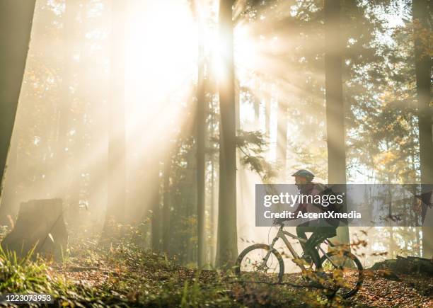 junge frau fährt bei sonnenaufgang mit dem fahrrad durch den wald - fahrrad fahren stock-fotos und bilder