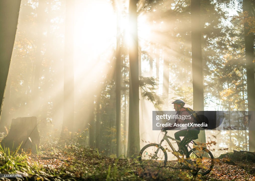Young woman rides bike through forest at sunrise