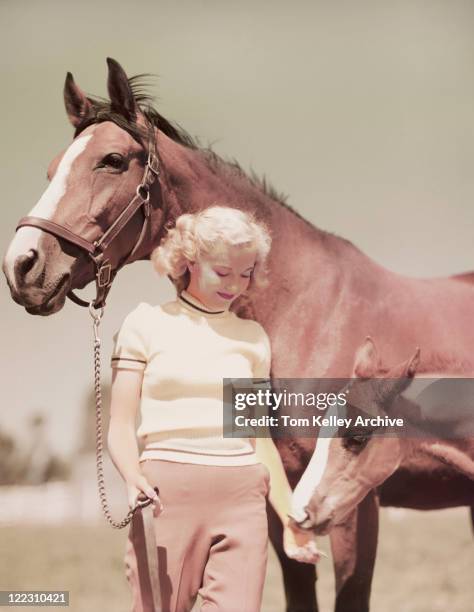 young woman holding horse and feeding pony - pony stock pictures, royalty-free photos & images