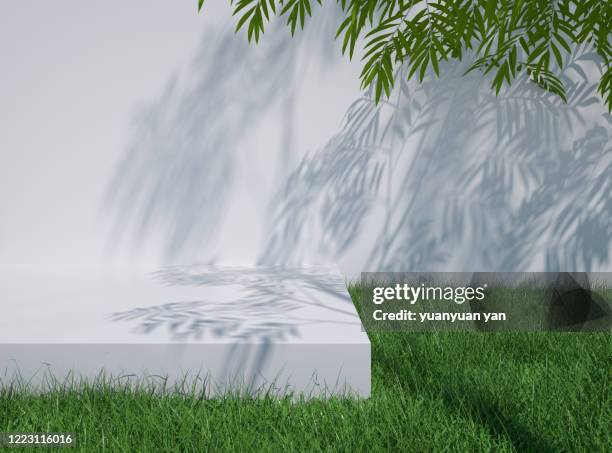 3d rendering nature background - grass background stock-fotos und bilder