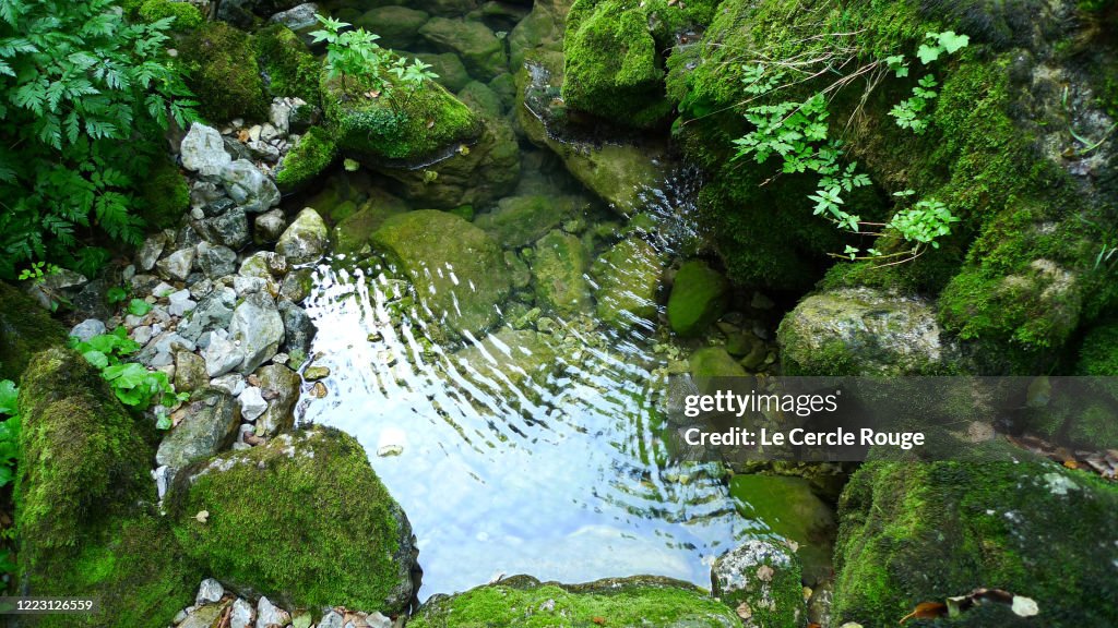 WATER SOURCE
