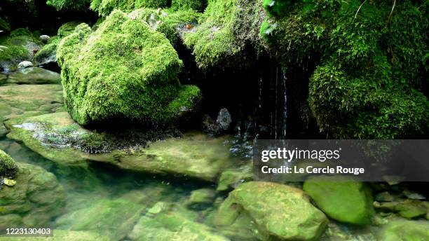 Spring Water From Rocks Spring Water Rocks Photos and Premium High Res Pictures - Getty Images