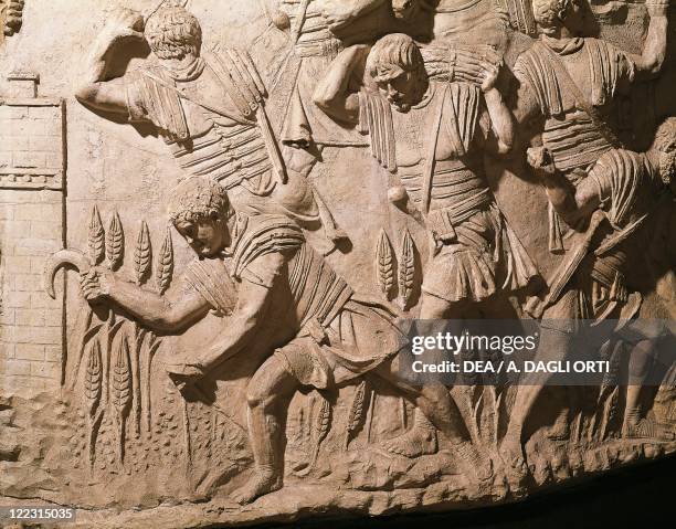 Ancient Rome Grain Roman Farming Photos and Premium High Res Pictures - Getty Images