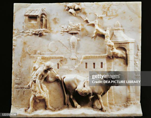 Roman Cow Roman Farming Photos and Premium High Res Pictures - Getty Images