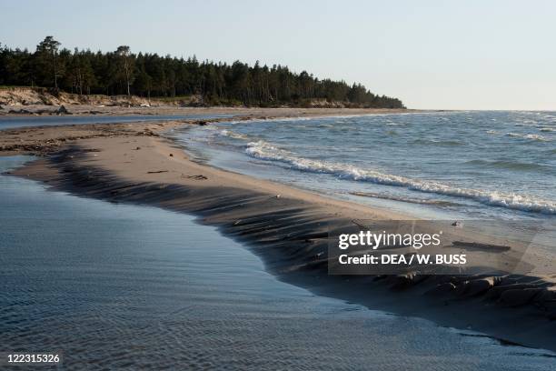 Slitere Slitere Photos and Premium High Res Pictures - Getty Images