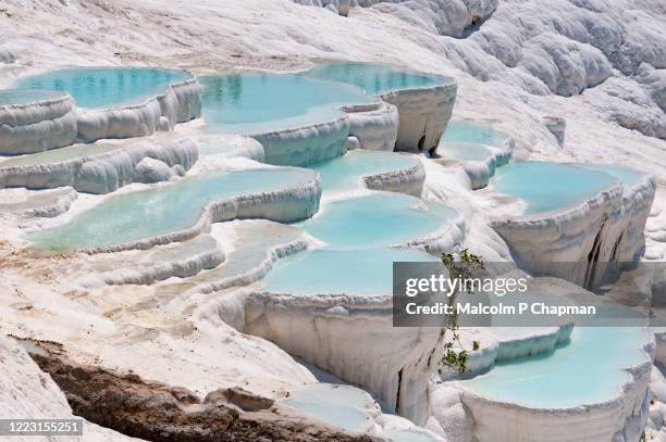 turquoise pools in travertine terraces at pamukkale, turkey - calcium stockfoto's en -beelden