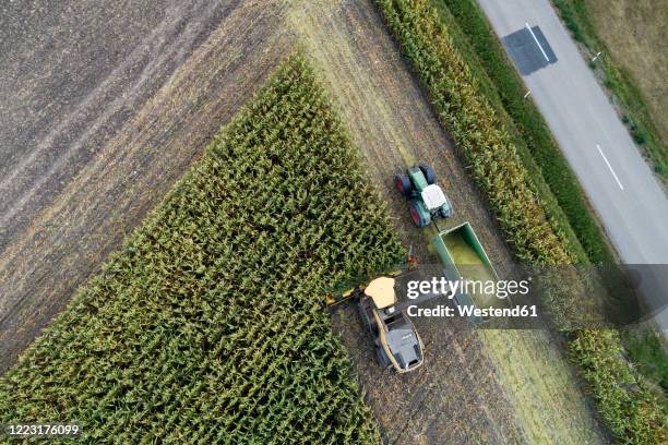 germany, bavaria, drone view of combine and tractor harvesting corn - monoculture stock pictures, royalty-free photos & images