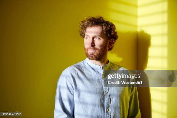 portrait of a casual businessman at a yellow wall with light and shadow - facial hair stock pictures, royalty-free photos & images