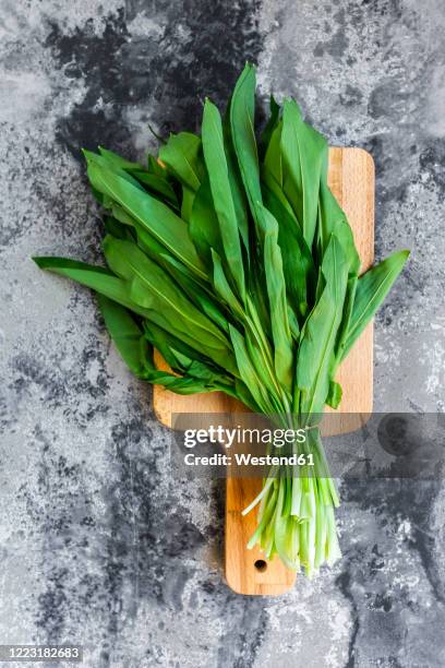 bunch of fresh ramson on cutting board - allium ursinum stock pictures, royalty-free photos & images