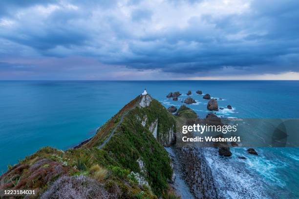 new zealand, otago, long exposure of nugget point at cloudy dawn - nugget point imagens e fotografias de stock