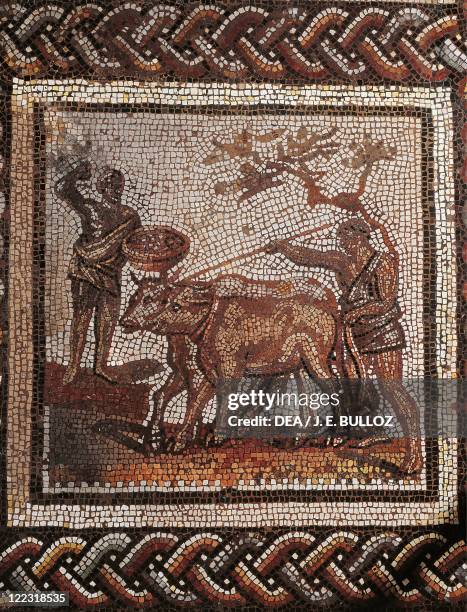 Roman civilization, 3rd century A.D. Mosaic of a rustic calander divided into 32 squares. Depicting ploughing. From Saint-Romain-en-Gal .