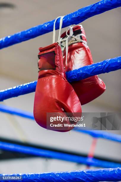 red boxing gloves hanging from the ring ropes - guante de boxeo fotografías e imágenes de stock