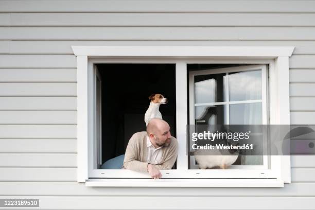 mature man with cat and dog leaning out of window of his house - cat looking up bildbanksfoton och bilder