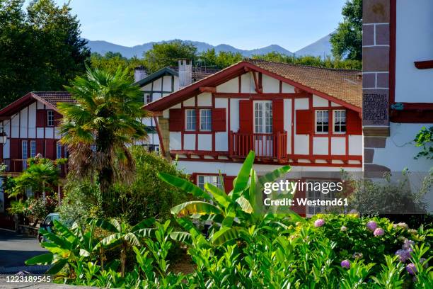 france, pyrenees-atlantiques, ainhoa, flowering garden plants in front of half-timbered house - フランス領バスク ストックフォトと画像