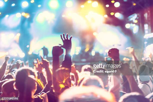 folla tifo al concerto rock - height foto e immagini stock