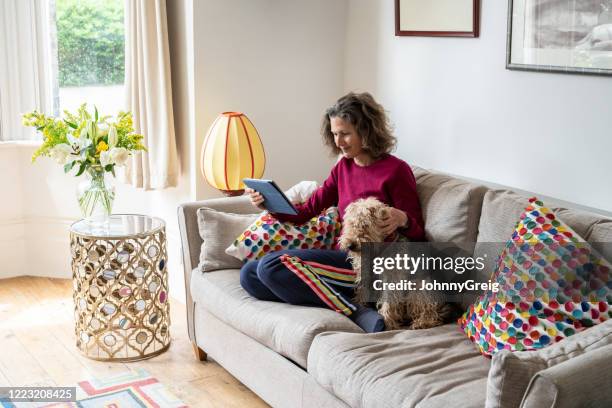 woman relaxing on sofa at home with dog reading digital tablet - sofa tablet stock pictures, royalty-free photos & images