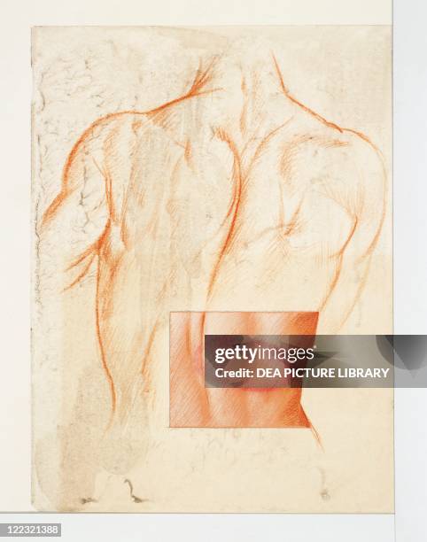 Skin Ripping Drawing Skin Problem Drawing Fotografías e imágenes de stock - Getty Images